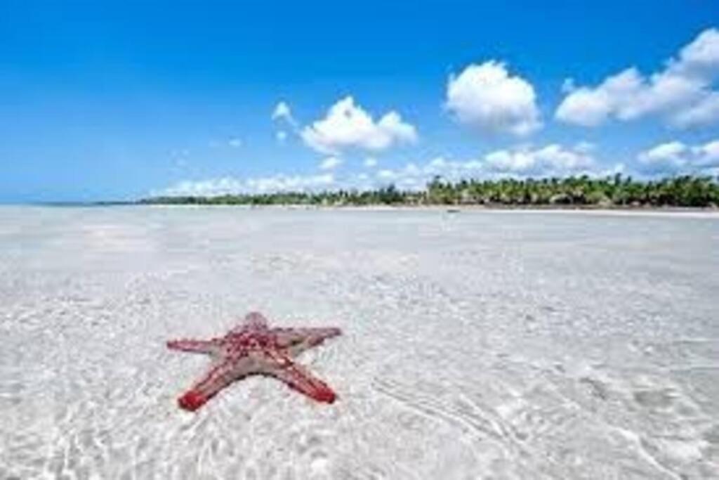 واتامو White Villa - Paparemo Beach المظهر الخارجي الصورة